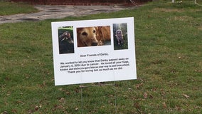 Beloved dog’s passing brings Delaware County community together: 'Darby was a great dog'