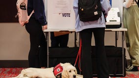 Former college professor argues animals should be allowed to vote