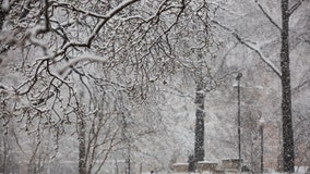 Philadelphia snow forecast: What to expect from weekend nor'easter based on where you live