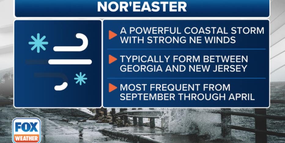 Century nor'easter vs Kevlar nor'easter - Main Forum - SurfTalk