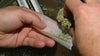 NJ approves first cannabis consumption lounges: List of locations