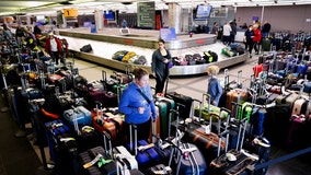 Airlines earned $33B from bag fees last year, report finds
