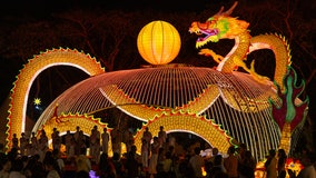 Lunar New Year 2024: The year of the wood dragon