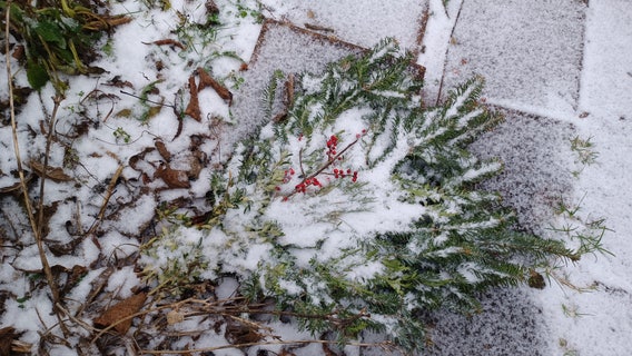 Philadelphia snow forecast: More snow on the way