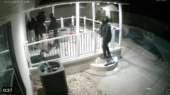 4 French bulldogs stolen in armed burglary at home in Delaware: police