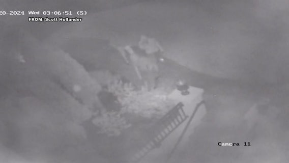 Masked suspects target luxury car key fobs in Gloucester County break-ins; police issue warning