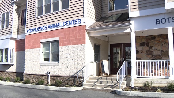 Doggie sleepover program helps couple fall in love with their newly adopted dog