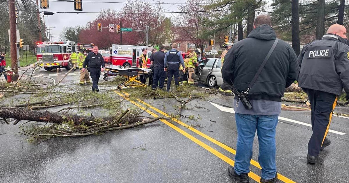 Elderly woman killed after tree falls on car in Collegeville: officials ...
