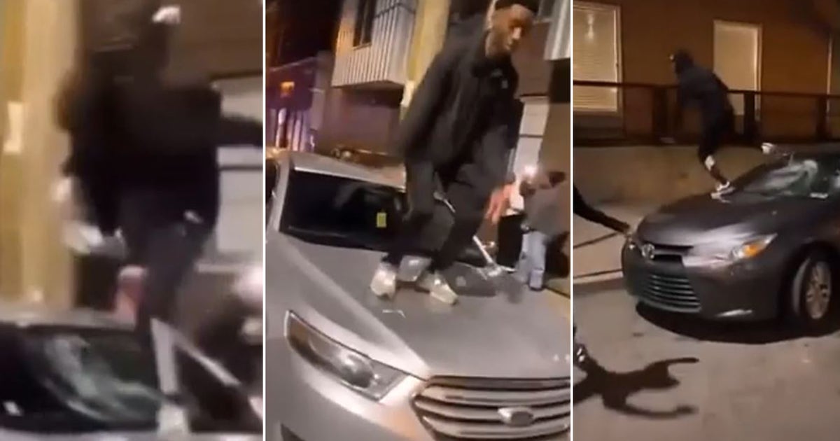 Video: Vandals wanted for smashing windshields, jumping on cars in ...