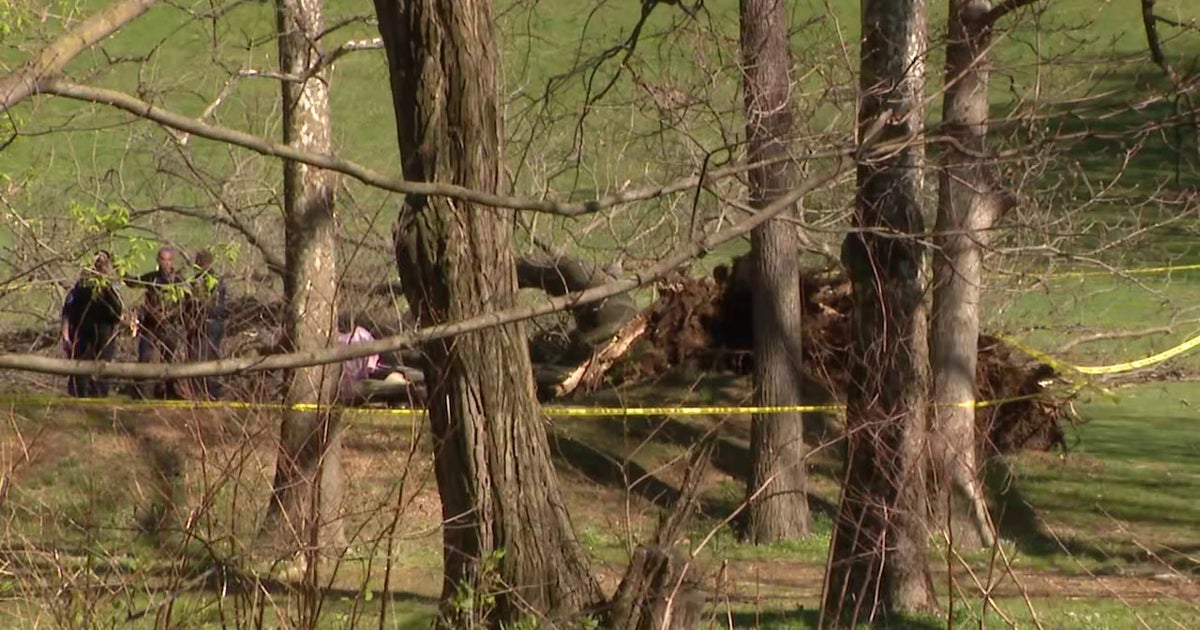 1 killed after large tree falls on golf cart in Montgomery County ...
