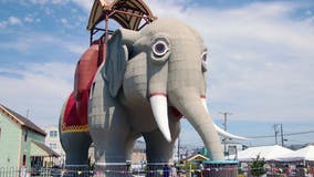 'Lucy the Elephant' could be the 'Best Roadside Attraction' in the US. Here's how you can help