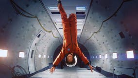 Moon movies: Cap off Eclipse Day with a movie night