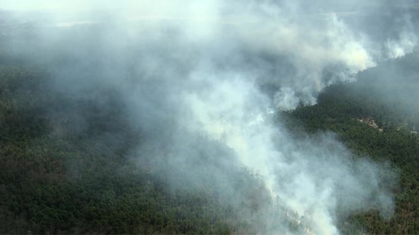 Wildfire at Wharton State Forest shuts down road in South Jersey counties