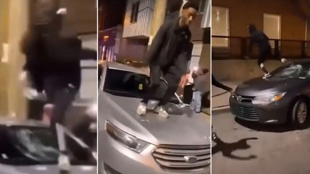 Video: Vandals wanted for smashing windshields, jumping on cars in Philadelphia