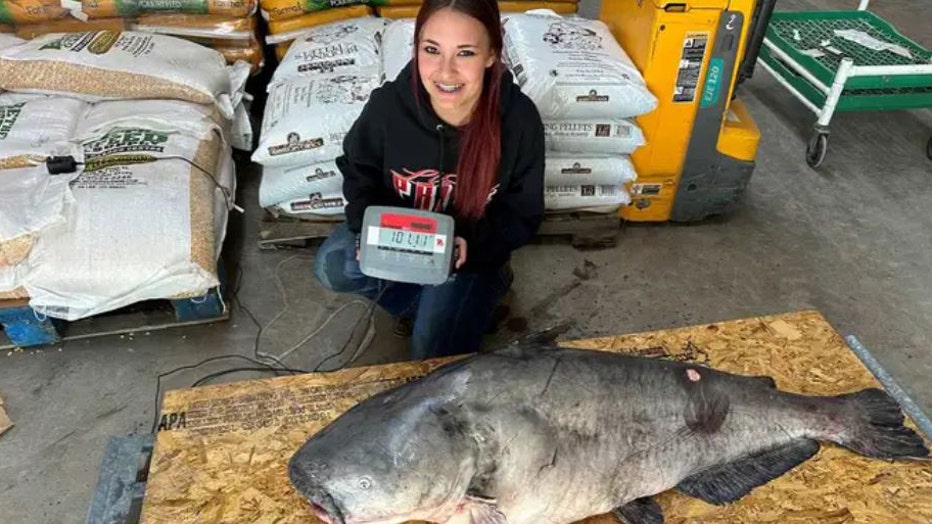 100 pound record blue catfish