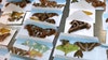 Over 60 dead butterflies found in shipment from Portugal at Philadelphia port