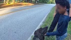 Gwinnett County K9 Sika finds missing child with autism