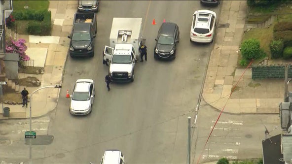 Pit bull shot and killed by off-duty Philadelphia officer during multi-dog attack: police