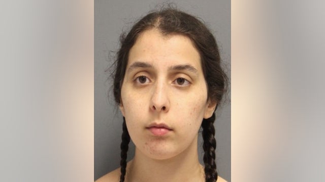 University of Delaware student charged with hate crime after antisemitic remarks, vandalism on campus