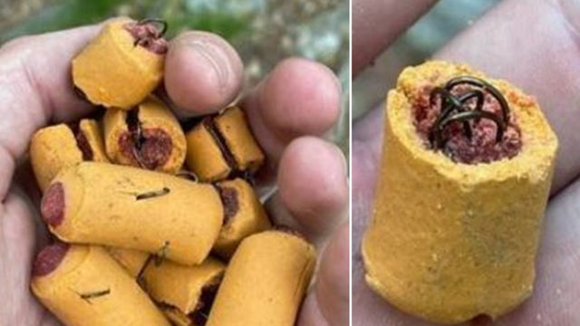 Dog treats stuffed with fishhooks found on Appalachian Trail in Pennsylvania