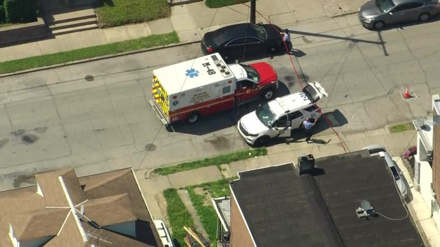 Mother, 75, and daughter found stabbed to death in Philadelphia basement: police