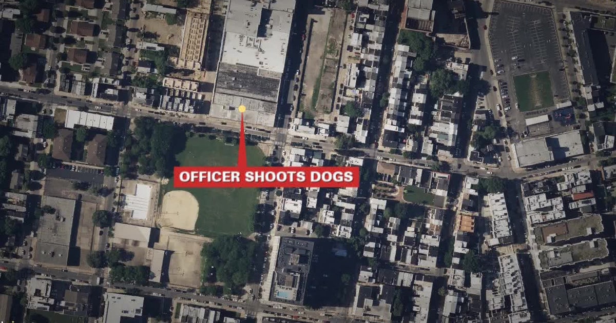 Officer fatally shoots 2 dogs after 18-year-old woman attacked in West ...