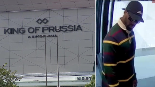 Man swiped $40k watch from store in King of Prussia Mall: police