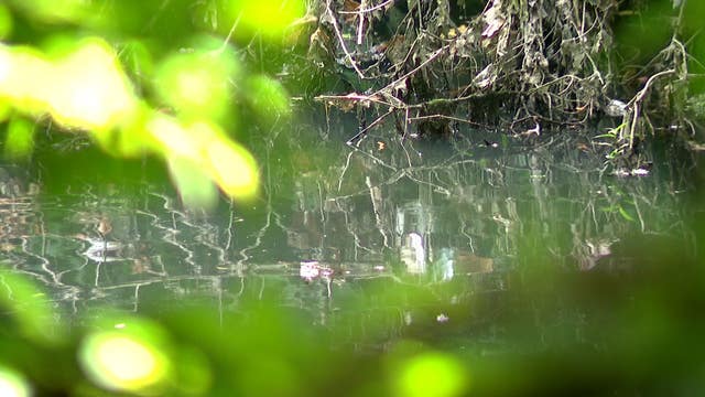 9-year-old boy found unresponsive in Tacony Creek identified: 'She didn't know that's where he was'