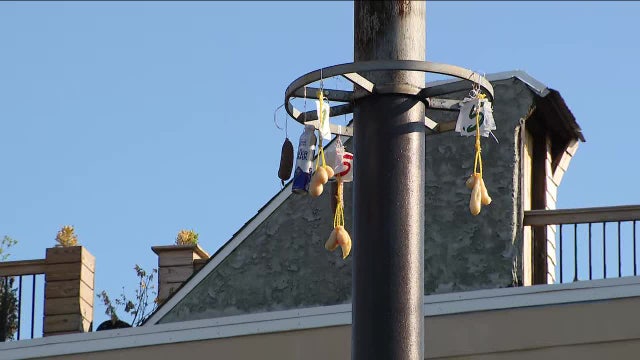 Meat and cheese left behind on greased pole weeks after South Philly's Italian Market Festival