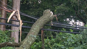 Trees, power lines down in storm-ravaged Chester County; residents await power restoration