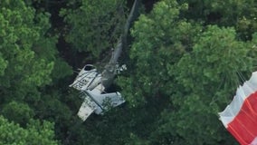 Pilot of small plane that crashed in New Jersey woods uninjured: police