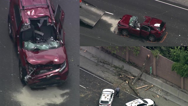 Tree smashes vehicle on I-476 in Delaware County; seriously injures driver