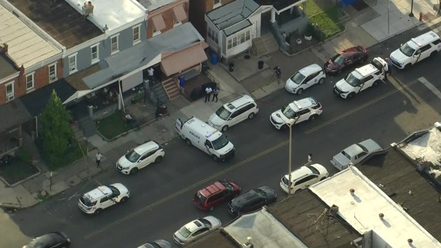 Toddler mauled by dog while walking in West Philadelphia: police