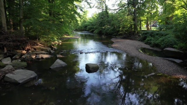Man drowns while swimming with woman in Brandywine Creek: police