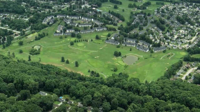 Litter of dead puppies found at Pennsylvania golf course; police looking for suspect