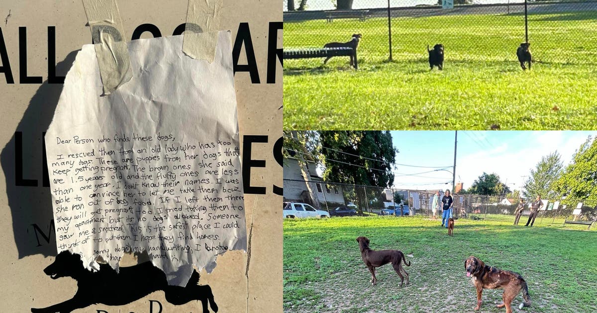 6 dogs abandoned at Bucks County dog park with note: 'I hope they find ...