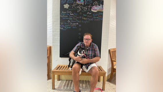 Success! Dog rescued after video of abuse goes viral is adopted