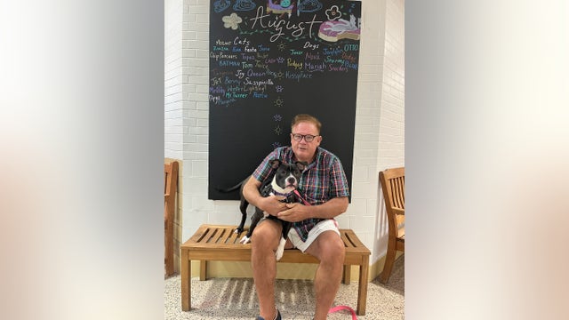 Success! Dog rescued after video of abuse goes viral is adopted