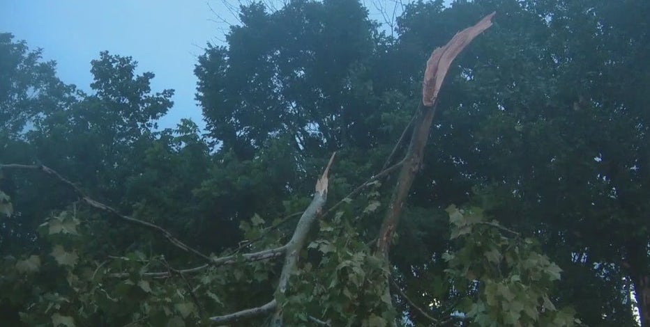 EF-1 tornado damages buildings, shreds trees in New Castle County; Chester County pounded by heavy rain