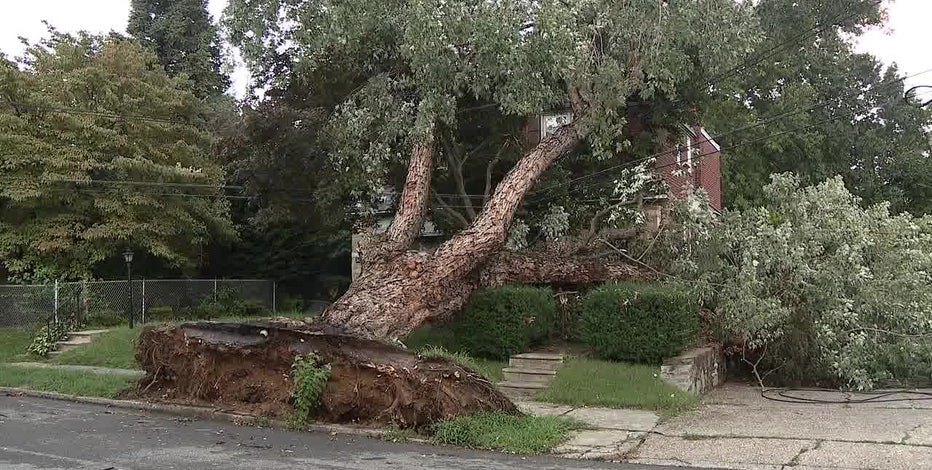Downed tree falls on home as severe weather plows through Philadelphia area