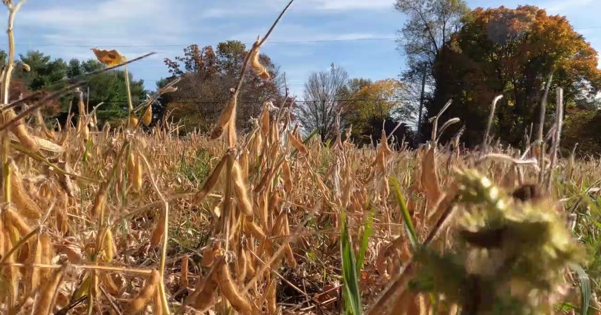 Bucks County farm still awaiting rain amid daunting drought conditions ...