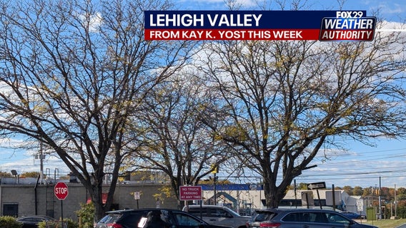 Find out why trees are losing leaves so quickly; why plants, lawns look stressed