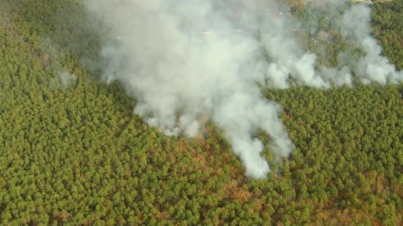 Second 14-year-old charged with arson in Burlington County forest fire ...