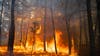 200 acres burned by second uncontrolled wildfire in New Jersey this week