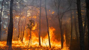 Over 800 acres burning in uncontrolled wildfires throughout the state this week