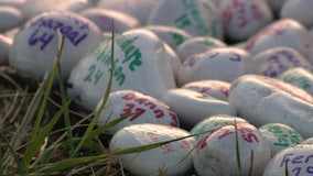 Moms Bonded by Grief create extraordinary healing garden in memory of victims of gun violence