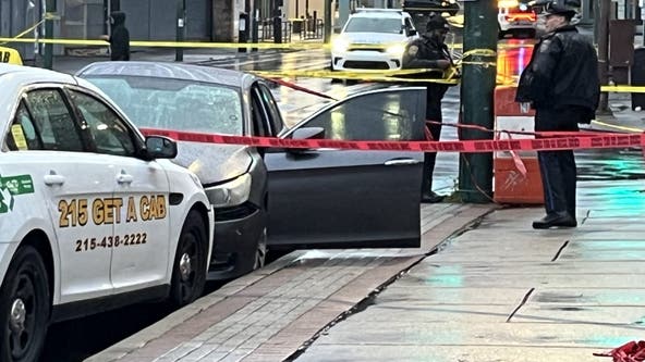 Man attempting to steal car shot, killed: police sources