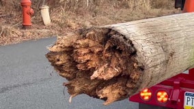 Woman, 73, killed after powerful winds knock over light pole at Roxborough High School track