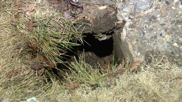 Sinkhole in Northeast Philly in need of attention: 'I shouldn’t have to call the media to get help'