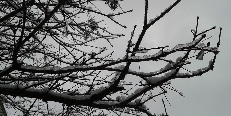 White Christmas in 2024? Find out where you can find snow